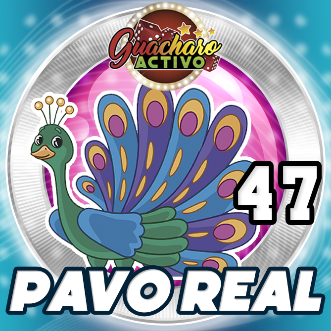 47 Pavo real