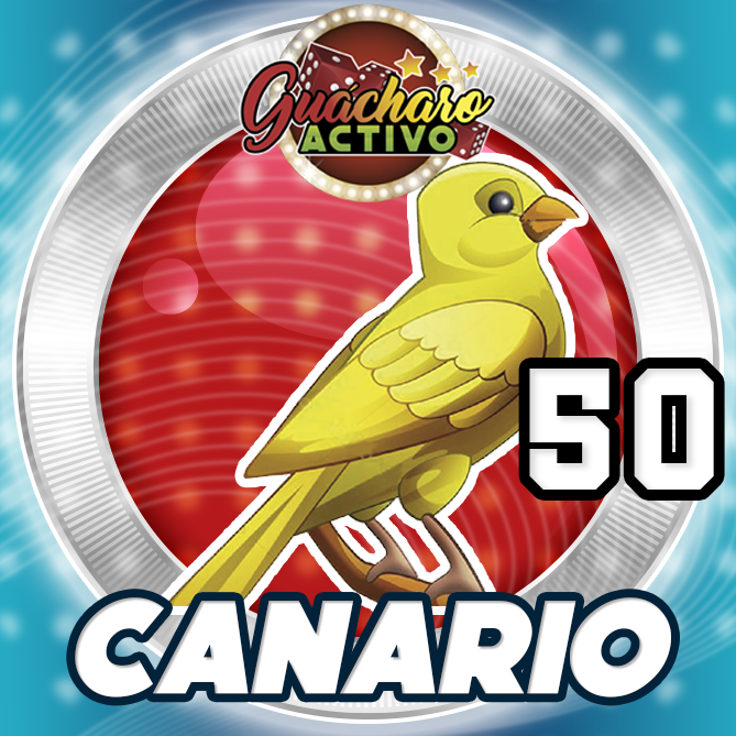 50 Canario